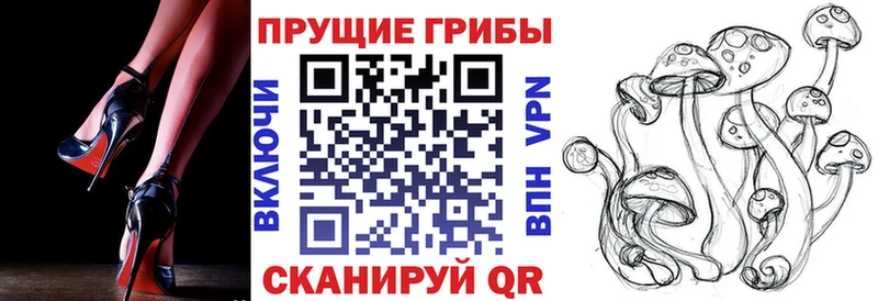 Галлюциногенные грибы Cubensis Прохладный